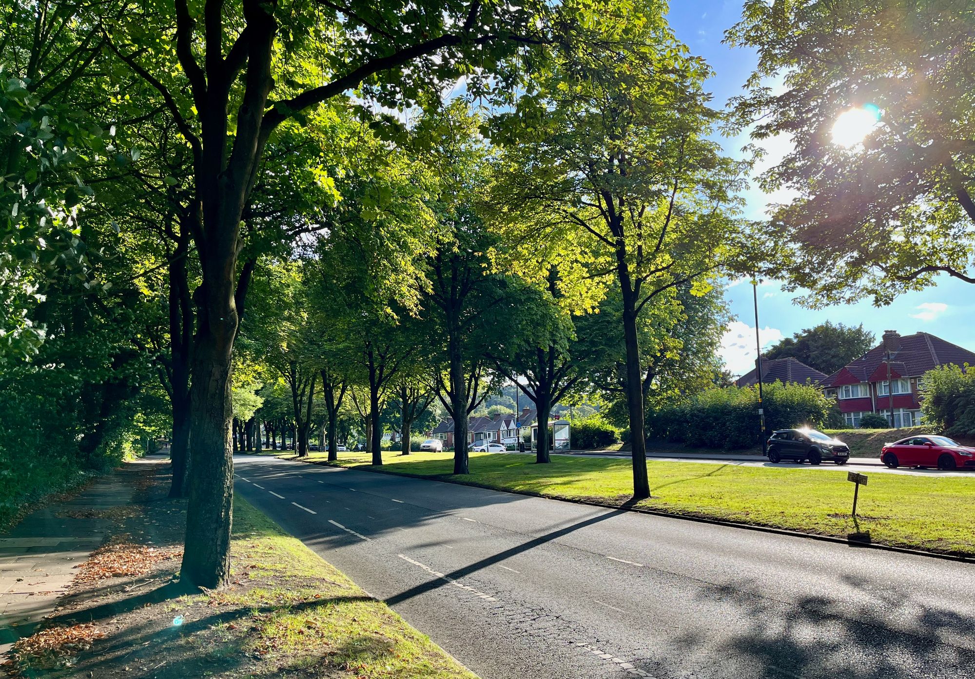 A tree-lined road. The sun peeks through the leaves, casting long, diagonal shadows