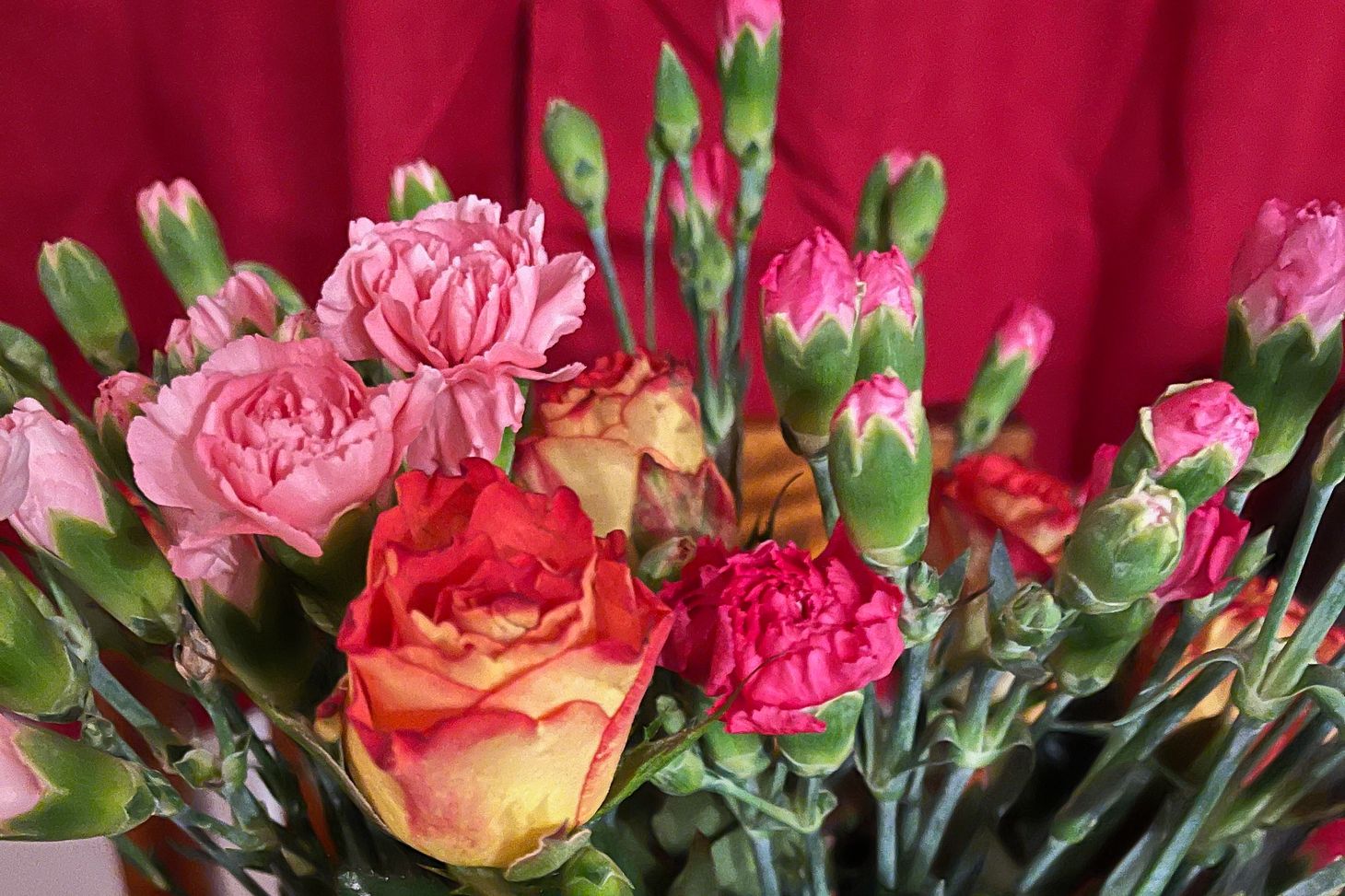 pale pink and deep pink flowers with green stems and leaves - some are still in bud