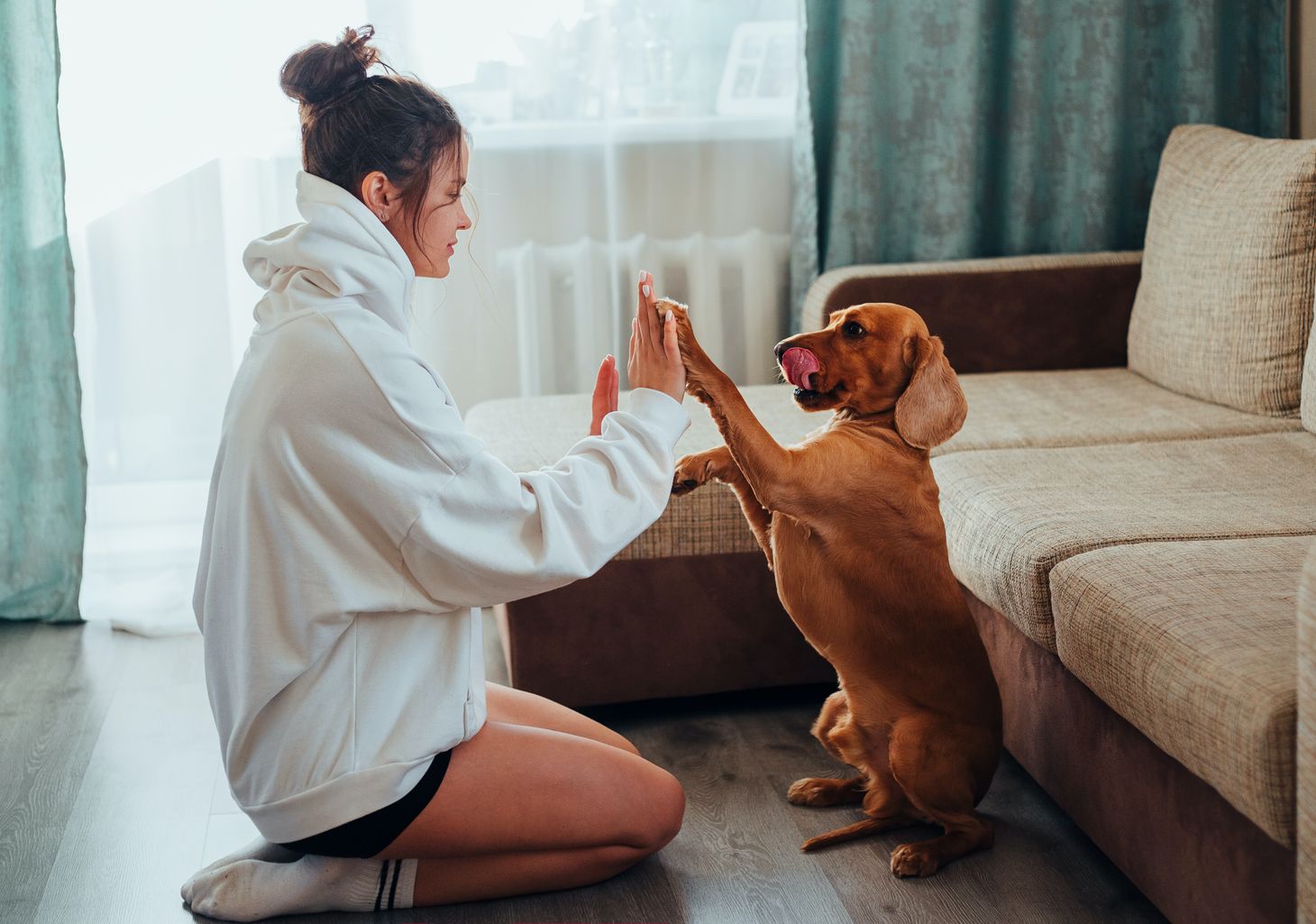A woman kneels before a dog which is up on its hind legs. Their hands and paws are touching