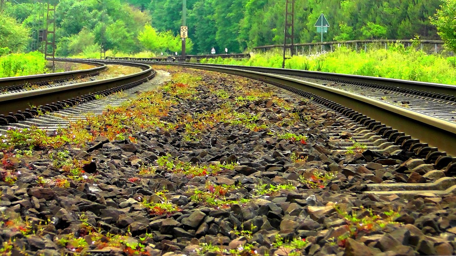Train tracks bend to the left into the distance where there are trees and grass